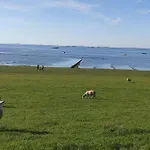 Altneukoog