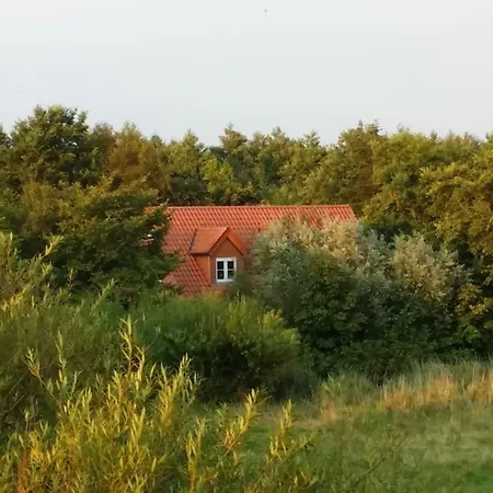 Altneukoog Apartment