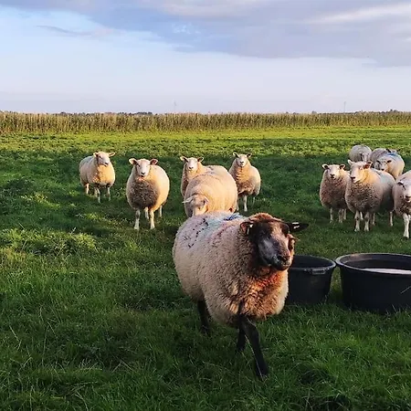 Altneukoog Апартаменты Tetenbull