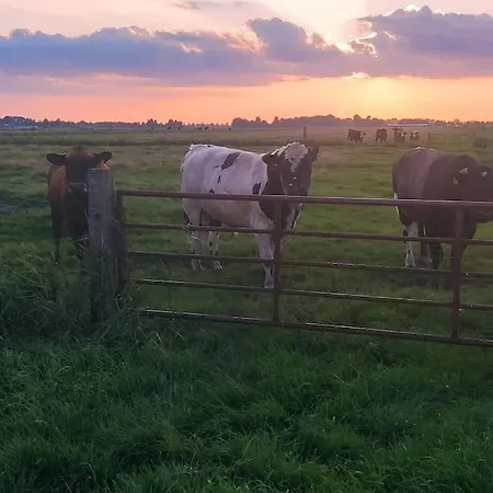 Altneukoog Апартаменты