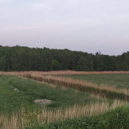 Altneukoog