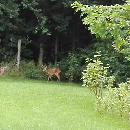 Altneukoog Апартаменты