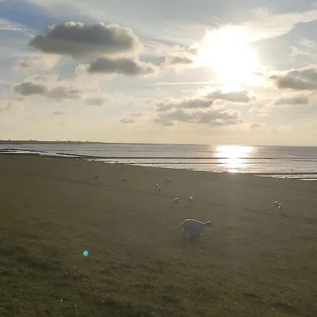 Altneukoog *