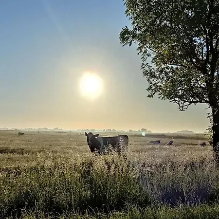 Altneukoog Апартаменты *